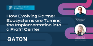 Implementation & Partner Ecosystems